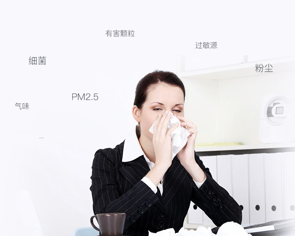 辦公新風解決方案