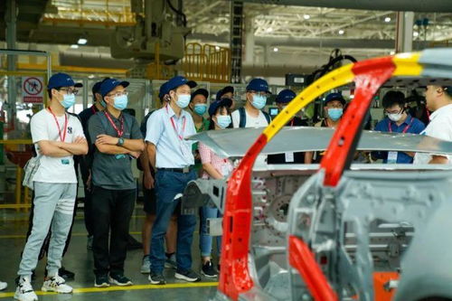 探訪完肇慶工廠，小鵬和特斯拉、蔚來(lái)、理想的車主怎么看P7？——申夢(mèng)汽車視角